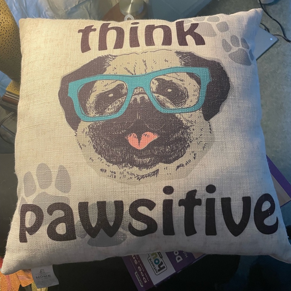 JCPenney Pug Pillow with Blue and Black Accents